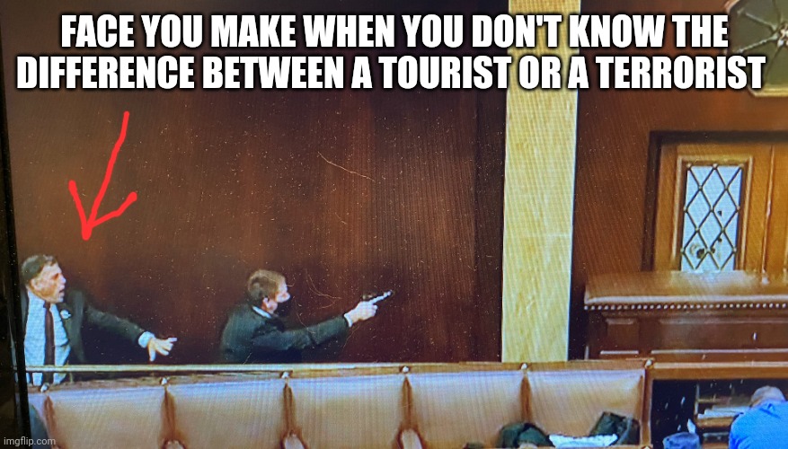 Cowardly republican | FACE YOU MAKE WHEN YOU DON'T KNOW THE DIFFERENCE BETWEEN A TOURIST OR A TERRORIST | image tagged in cowardly republican | made w/ Imgflip meme maker