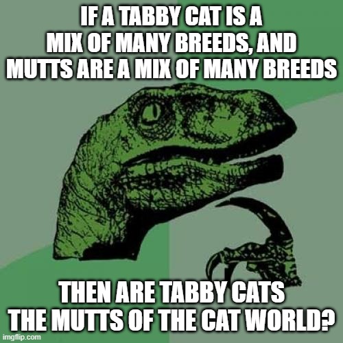 Philosoraptor | IF A TABBY CAT IS A MIX OF MANY BREEDS, AND MUTTS ARE A MIX OF MANY BREEDS; THEN ARE TABBY CATS THE MUTTS OF THE CAT WORLD? | image tagged in memes,philosoraptor,cats,mutt | made w/ Imgflip meme maker