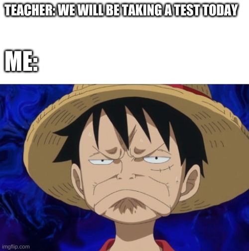 One Piece Luffy Pout | TEACHER: WE WILL BE TAKING A TEST TODAY; ME: | image tagged in one piece luffy pout | made w/ Imgflip meme maker