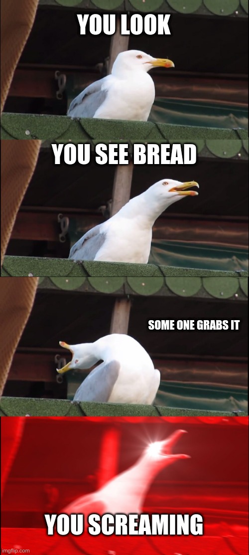 Inhaling Seagull | YOU LOOK; YOU SEE BREAD; SOME ONE GRABS IT; YOU SCREAMING | image tagged in memes,inhaling seagull | made w/ Imgflip meme maker