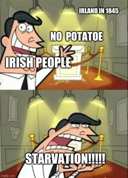 This Is Where I'd Put My Trophy If I Had One | IRLAND IN 1845; NO  POTATOE; IRISH PEOPLE; STARVATION!!!!! | image tagged in memes,this is where i'd put my trophy if i had one | made w/ Imgflip meme maker