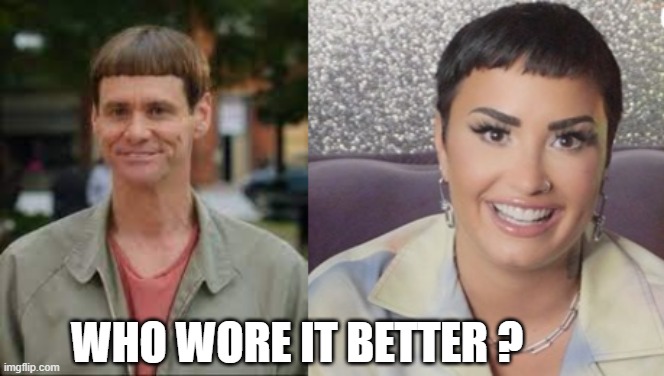 who wore it better | WHO WORE IT BETTER ? | image tagged in who wore it better,demi lovato,bad haircut,dumb and dumber | made w/ Imgflip meme maker
