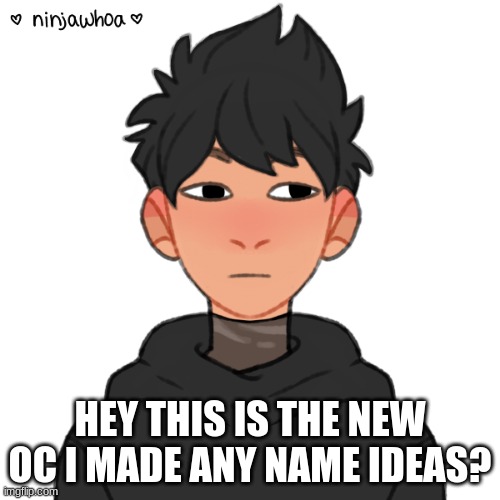 HEY THIS IS THE NEW OC I MADE ANY NAME IDEAS? | made w/ Imgflip meme maker