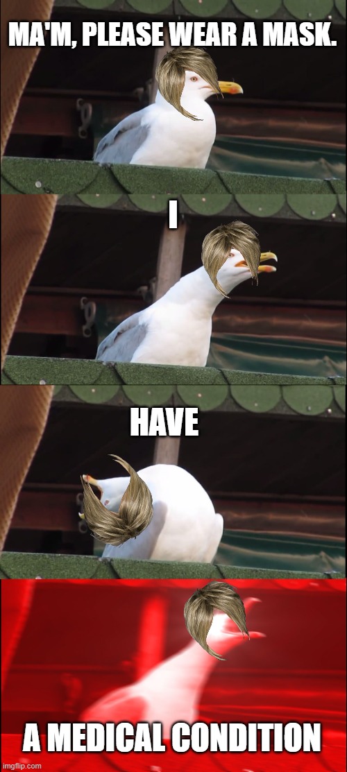 All karens be like | MA'M, PLEASE WEAR A MASK. I; HAVE; A MEDICAL CONDITION | image tagged in memes,inhaling seagull,karen,omg karen | made w/ Imgflip meme maker