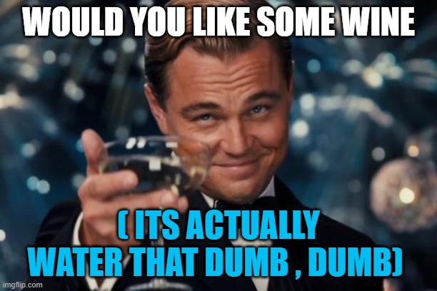 Leonardo Dicaprio Cheers | WOULD YOU LIKE SOME WINE; ( ITS ACTUALLY WATER THAT DUMB , DUMB) | image tagged in memes,leonardo dicaprio cheers | made w/ Imgflip meme maker