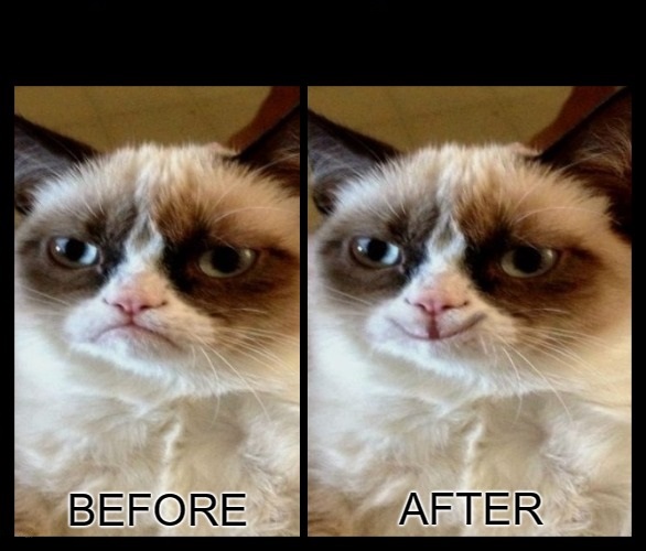 Grumpy Cat - before and after Blank Meme Template