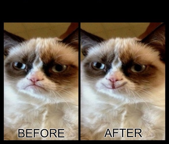 High Quality Grumpy Cat - before and after Blank Meme Template