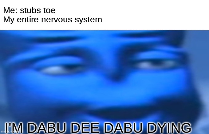 BLUE | Me: stubs toe
My entire nervous system; I'M DABU DEE DABU DYING | image tagged in funny | made w/ Imgflip meme maker