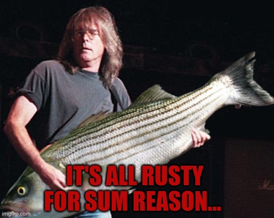 Bass guitar pun | IT'S ALL RUSTY FOR SUM REASON... | image tagged in bass guitar pun | made w/ Imgflip meme maker