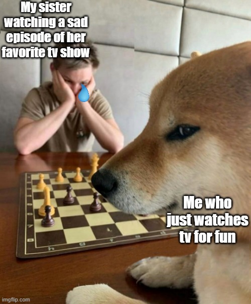 Can we get 100k points before the end of the month guys? Were at 70k points so far! | My sister watching a sad episode of her favorite tv show; Me who just watches tv for fun | image tagged in chess doge | made w/ Imgflip meme maker