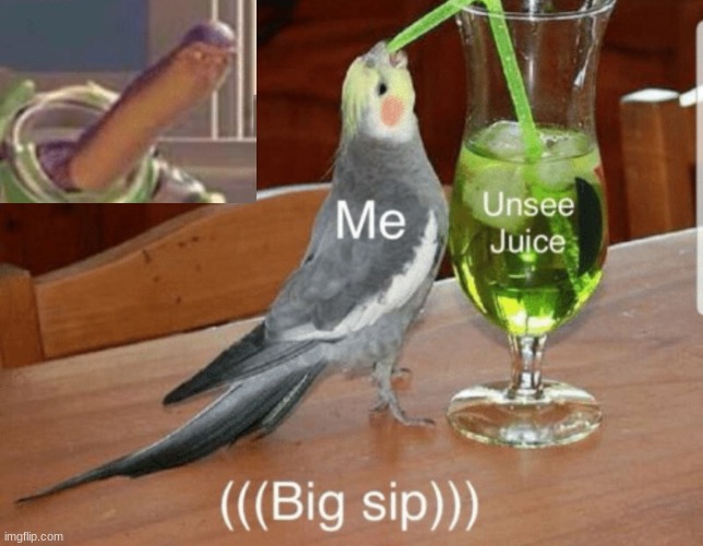 BRN UR IYS | image tagged in unsee juice | made w/ Imgflip meme maker