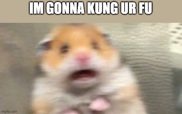 im gonna kung ur fu |  IM GONNA KUNG UR FU | image tagged in screaming hampster | made w/ Imgflip meme maker