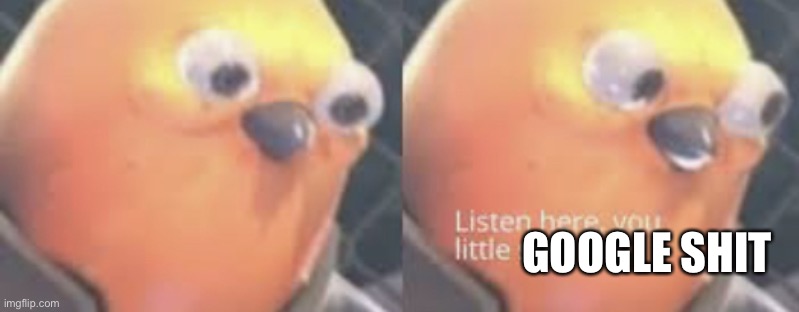 Listen here you little shit bird | GOOGLE SHIT | image tagged in listen here you little shit bird | made w/ Imgflip meme maker