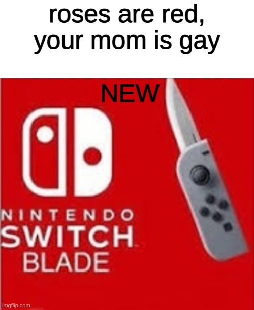i apologize for any insulted mothers | roses are red, your mom is gay; NEW | image tagged in blank white template | made w/ Imgflip meme maker