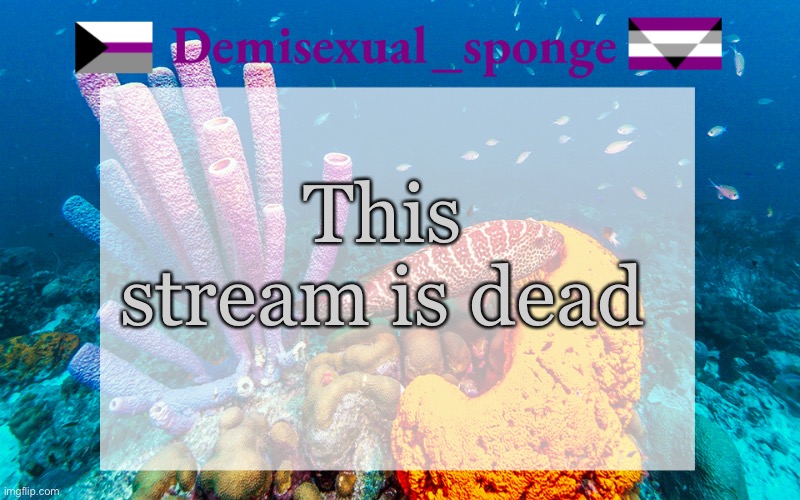 M o r t | This stream is dead | image tagged in demisexual_sponge | made w/ Imgflip meme maker
