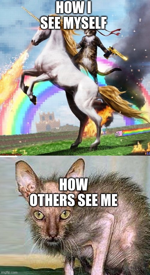 ME | HOW I SEE MYSELF; HOW OTHERS SEE ME | image tagged in memes,welcome to the internets | made w/ Imgflip meme maker