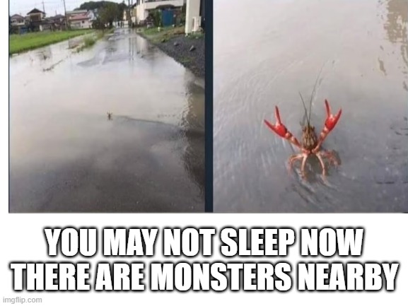Minecraft vibes | YOU MAY NOT SLEEP NOW THERE ARE MONSTERS NEARBY | image tagged in minecraft,memes,funny | made w/ Imgflip meme maker