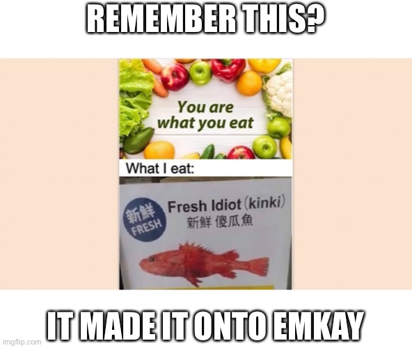 I forgot about this | REMEMBER THIS? IT MADE IT ONTO EMKAY | image tagged in oh wow are you actually reading these tags,much wow | made w/ Imgflip meme maker