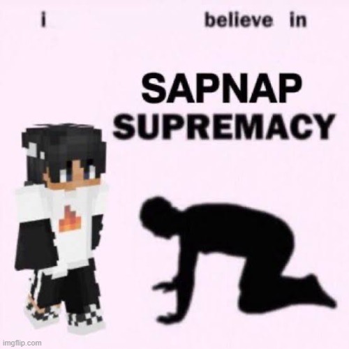 snapmap | image tagged in dream smp | made w/ Imgflip meme maker