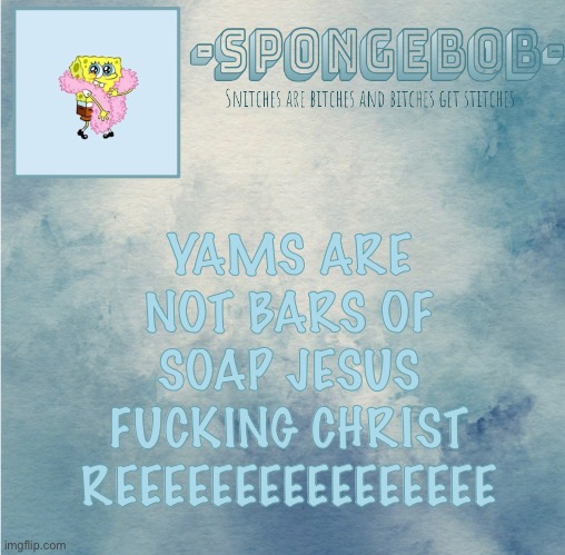 Sponge temp | YAMS ARE NOT BARS OF SOAP JESUS FUCKING CHRIST REEEEEEEEEEEEEEEE | image tagged in sponge temp | made w/ Imgflip meme maker