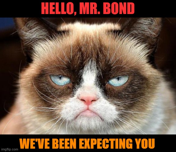 Grumpy Cat belongs in a classic Bond film | HELLO, MR. BOND; WE'VE BEEN EXPECTING YOU | image tagged in grumpy cat not amused,grumpy cat,bond,classic movies,cats | made w/ Imgflip meme maker