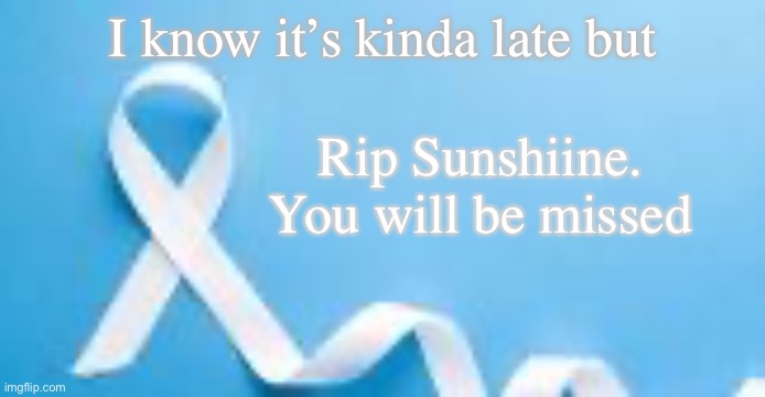 <3 | I know it’s kinda late but; Rip Sunshiine. You will be missed | made w/ Imgflip meme maker