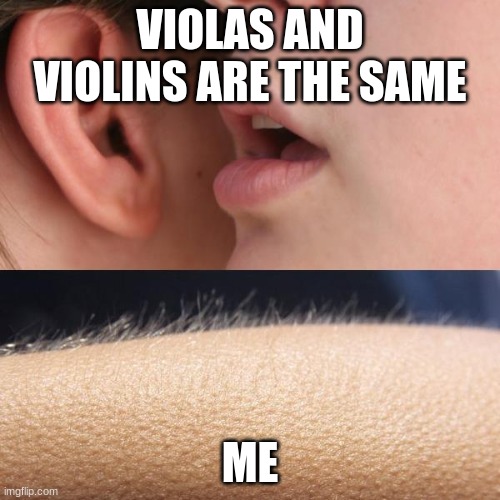 Violins and Violas | VIOLAS AND VIOLINS ARE THE SAME; ME | image tagged in whisper and goosebumps | made w/ Imgflip meme maker