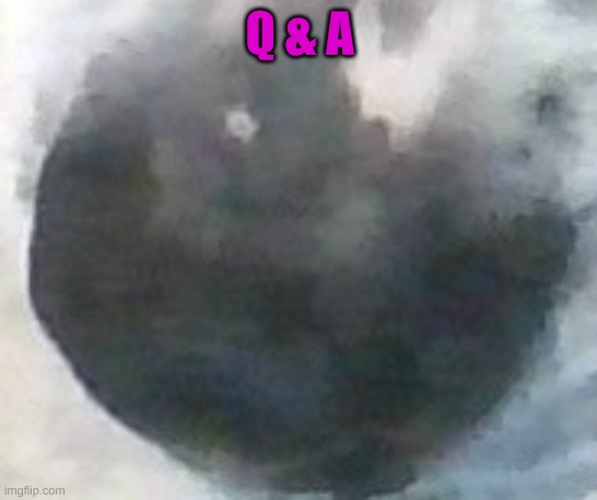 Q & A | Q & A | image tagged in dog nose | made w/ Imgflip meme maker