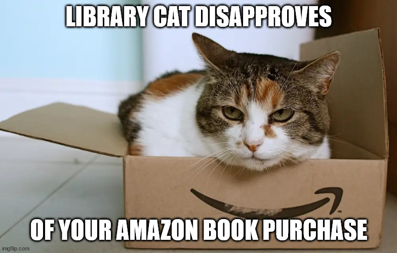 Library Cat Disapproves | LIBRARY CAT DISAPPROVES; OF YOUR AMAZON BOOK PURCHASE | image tagged in cat in a box,cat,box,amazon | made w/ Imgflip meme maker