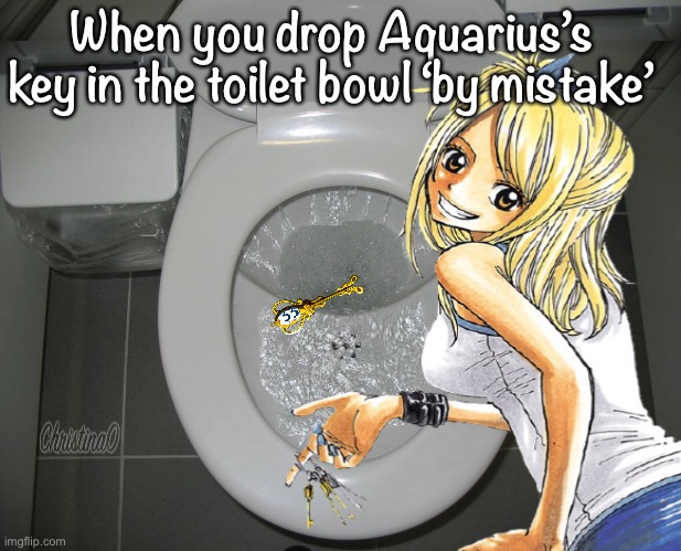 Aquarius’s key - Fairy Tail Meme | When you drop Aquarius’s key in the toilet bowl ‘by mistake’ | image tagged in fairy tail,fairy tail meme,memes,aquarius fairy tail,celestial spirit,lucy heartfilia | made w/ Imgflip meme maker