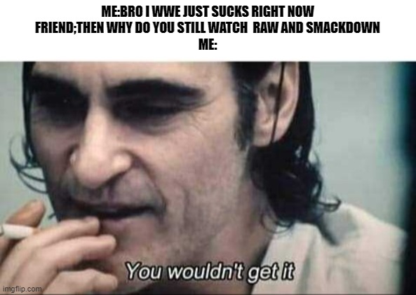 You wouldn't get it | ME:BRO I WWE JUST SUCKS RIGHT NOW
FRIEND;THEN WHY DO YOU STILL WATCH  RAW AND SMACKDOWN
ME: | image tagged in you wouldn't get it | made w/ Imgflip meme maker