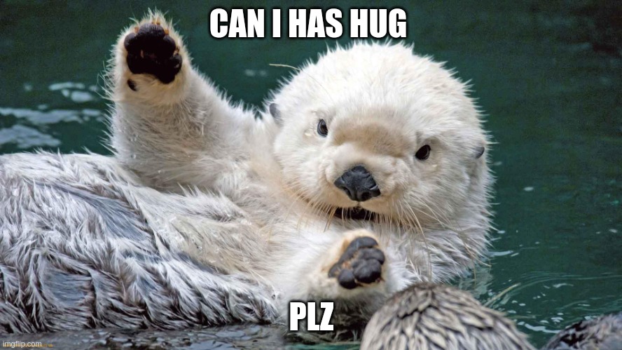 lets see if you guys like this | CAN I HAS HUG; PLZ | image tagged in hold up- | made w/ Imgflip meme maker