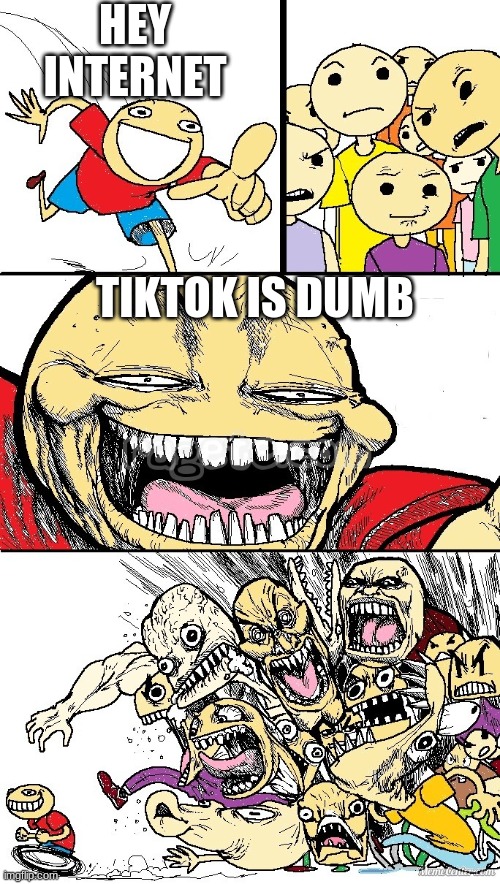 yeah i know it was childish but its true |  HEY INTERNET; TIKTOK IS DUMB | image tagged in hey internet color | made w/ Imgflip meme maker
