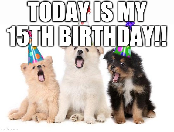 Today is my 15th Birthday!! | TODAY IS MY 15TH BIRTHDAY!! | image tagged in happy birthday puppies,birthday,happy birthday | made w/ Imgflip meme maker
