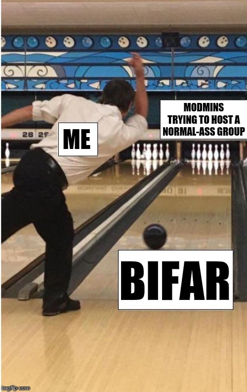 bowling | MODMINS TRYING TO HOST A NORMAL-ASS GROUP; ME; BIFAR | image tagged in bowling | made w/ Imgflip meme maker