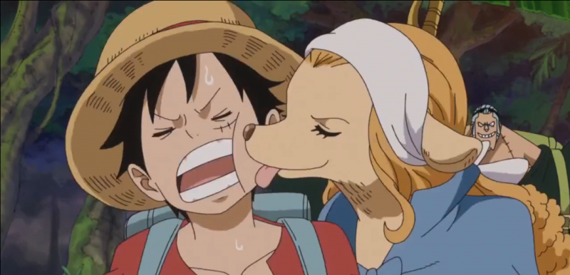 one piece lick grin Blank Meme Template