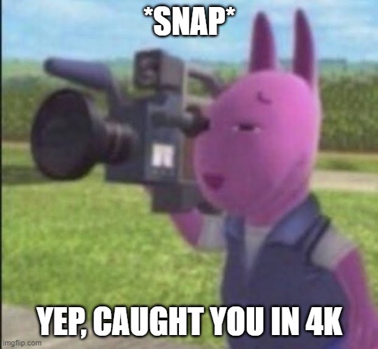 Caught in 4k | *SNAP* YEP, CAUGHT YOU IN 4K | image tagged in caught in 4k | made w/ Imgflip meme maker