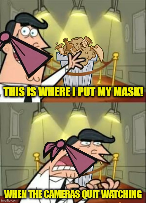 Meanwhile, in D.C. | THIS IS WHERE I PUT MY MASK! WHEN THE CAMERAS QUIT WATCHING | image tagged in fairly odd parents mask virtue signaling | made w/ Imgflip meme maker