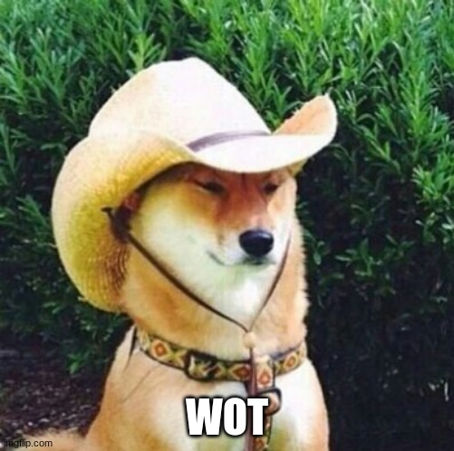 Wot in Tarnation Dog | WOT | image tagged in wot in tarnation dog | made w/ Imgflip meme maker