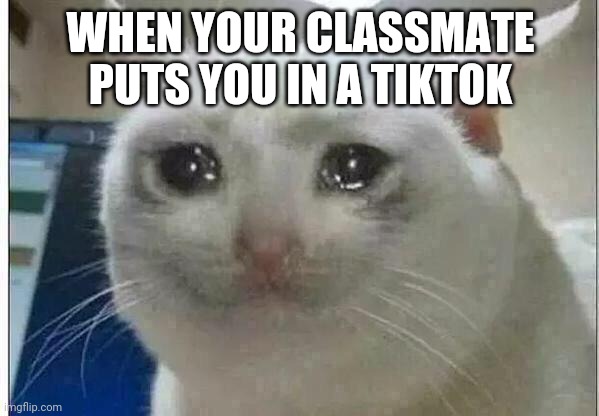 Why do I have to be in a trash tiktok? | WHEN YOUR CLASSMATE PUTS YOU IN A TIKTOK | image tagged in crying cat | made w/ Imgflip meme maker