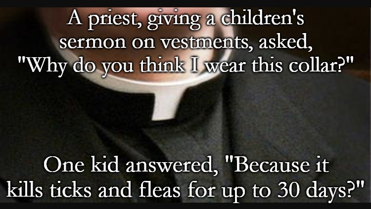 Priest collar | A priest, giving a children's sermon on vestments, asked, "Why do you think I wear this collar?"; One kid answered, "Because it kills ticks and fleas for up to 30 days?" | image tagged in priest collar | made w/ Imgflip meme maker