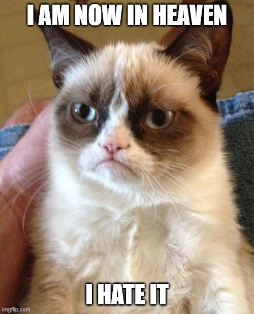 grumpy cat | I AM NOW IN HEAVEN; I HATE IT | image tagged in memes,grumpy cat,heaven,cats,oh wow are you actually reading these tags | made w/ Imgflip meme maker