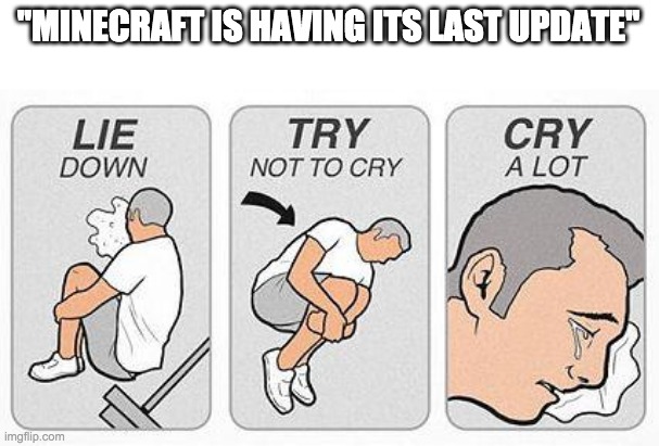 last update | "MINECRAFT IS HAVING ITS LAST UPDATE" | image tagged in cry a lot | made w/ Imgflip meme maker