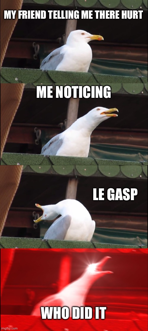 Inhaling Seagull | MY FRIEND TELLING ME THERE HURT; ME NOTICING; LE GASP; WHO DID IT | image tagged in memes,inhaling seagull | made w/ Imgflip meme maker