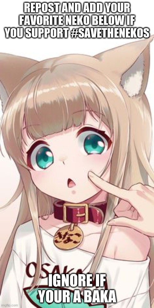 also tag your image with "SAVETHENEKOS" | REPOST AND ADD YOUR FAVORITE NEKO BELOW IF YOU SUPPORT #SAVETHENEKOS; IGNORE IF YOUR A BAKA | image tagged in savethenekos | made w/ Imgflip meme maker