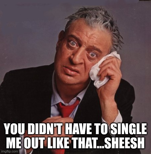 Rodney Dangerfield | YOU DIDN'T HAVE TO SINGLE ME OUT LIKE THAT...SHEESH | image tagged in rodney dangerfield | made w/ Imgflip meme maker