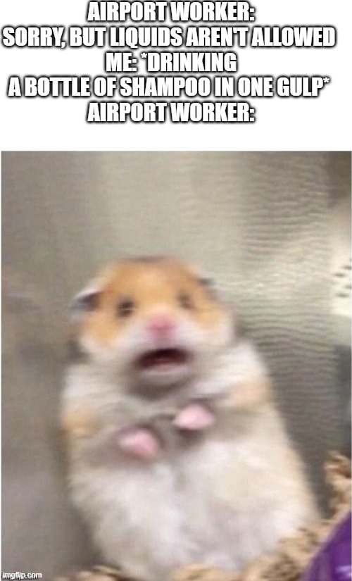 Scared Hamster |  AIRPORT WORKER: SORRY, BUT LIQUIDS AREN'T ALLOWED 
ME: *DRINKING A BOTTLE OF SHAMPOO IN ONE GULP* 
AIRPORT WORKER: | image tagged in scared hamster | made w/ Imgflip meme maker