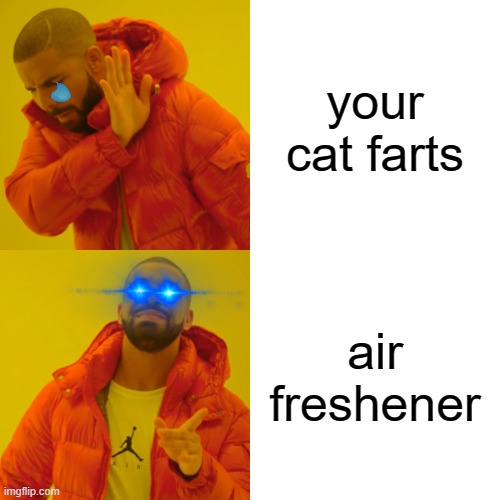 Drake Hotline Bling | your cat farts; air freshener | image tagged in memes,drake hotline bling | made w/ Imgflip meme maker