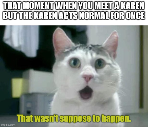 Normal karen | THAT MOMENT WHEN YOU MEET A KAREN
BUT THE KAREN ACTS NORMAL FOR ONCE; That wasn’t suppose to happen. | image tagged in memes,omg cat,karen,surprised cat | made w/ Imgflip meme maker