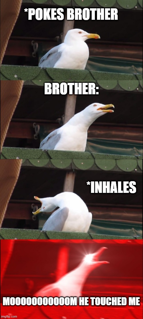 Inhaling Seagull Meme | *POKES BROTHER; BROTHER:; *INHALES; MOOOOOOOOOOOM HE TOUCHED ME | image tagged in memes,inhaling seagull | made w/ Imgflip meme maker